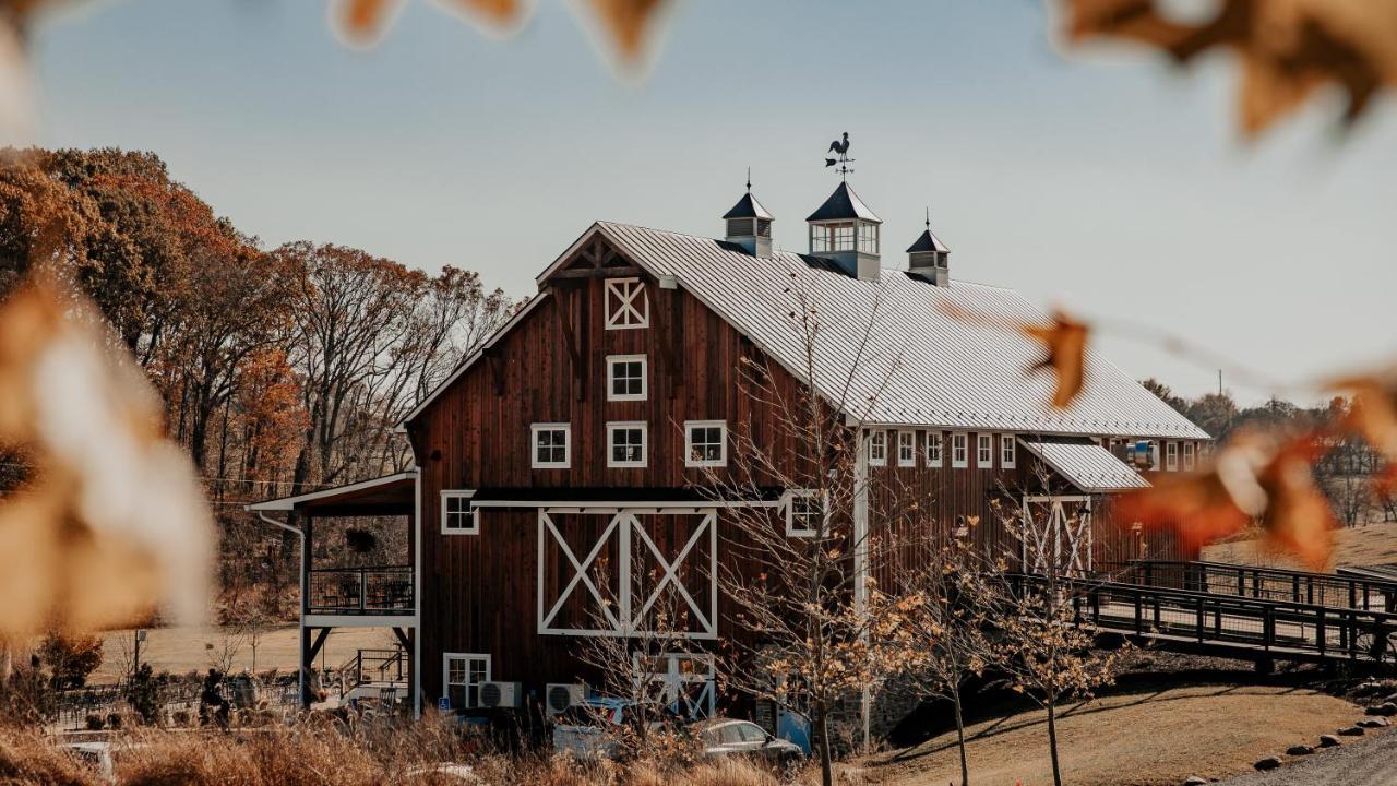 Bed and Breakfast Zion Springs Hamilton Экстерьер фото